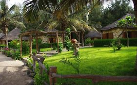 Africa Roots